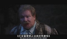 鸡婆在线观看,揭秘网络直播的另类魅力