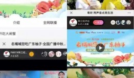 广东梅州爆料新闻视频大全,最新爆料视频大盘点